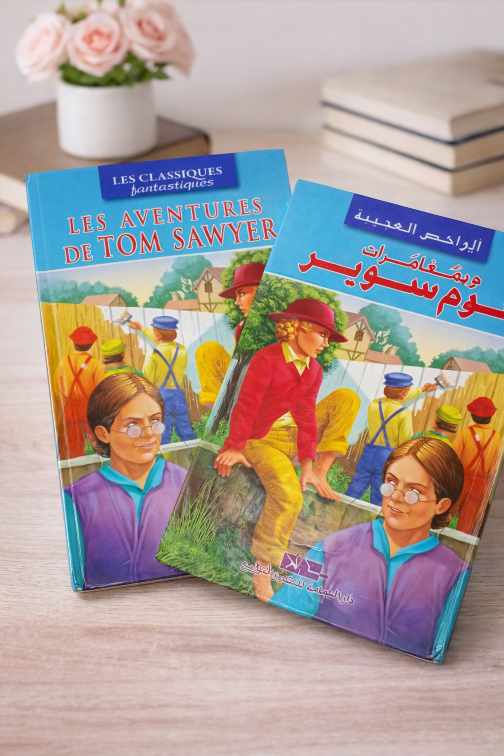 Livres histoire "Les aventures de TOM SAWYER"